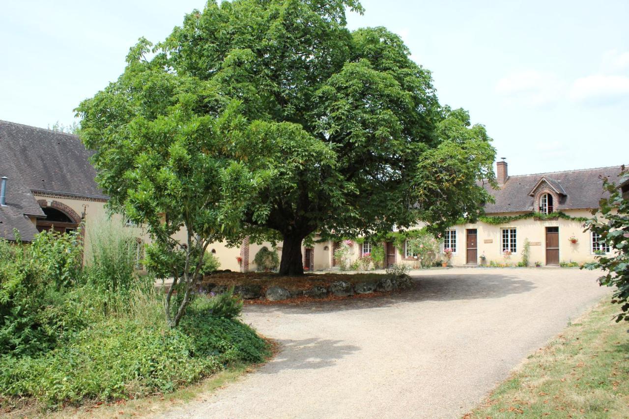 Gite Des Etangs De Beaulieu Le Plessis-Dorin Экстерьер фото