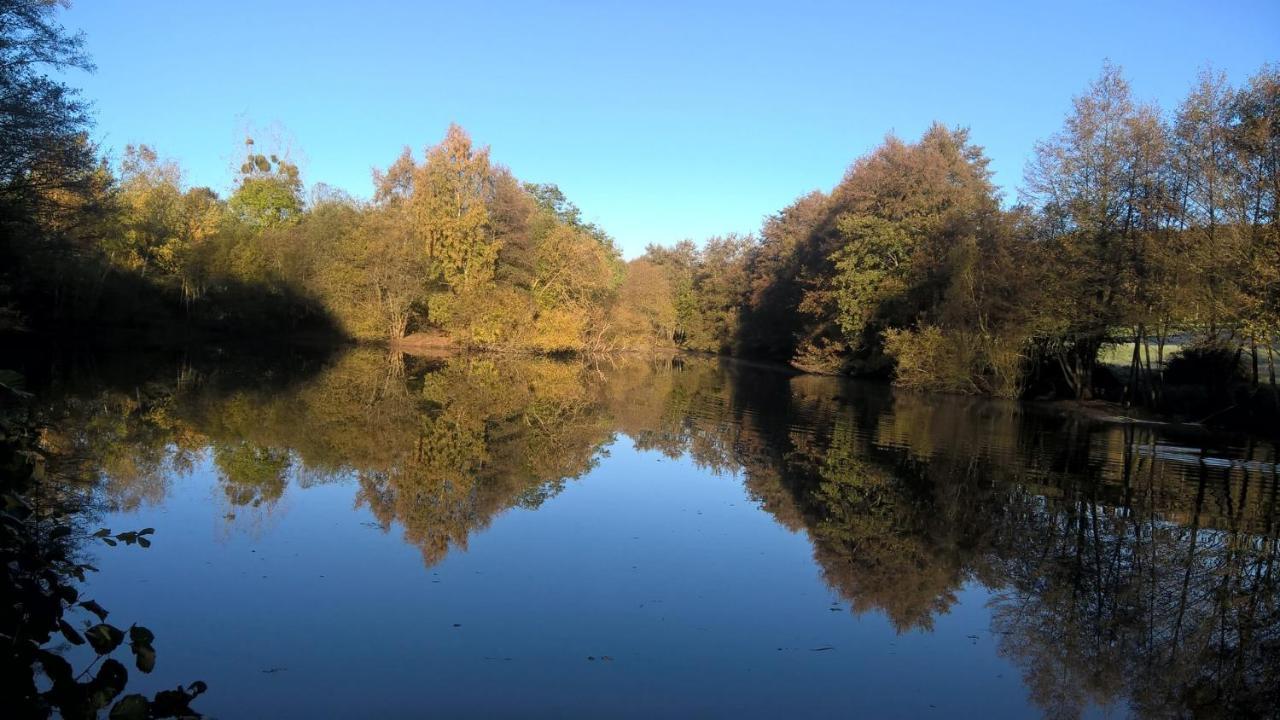 Gite Des Etangs De Beaulieu Le Plessis-Dorin Экстерьер фото